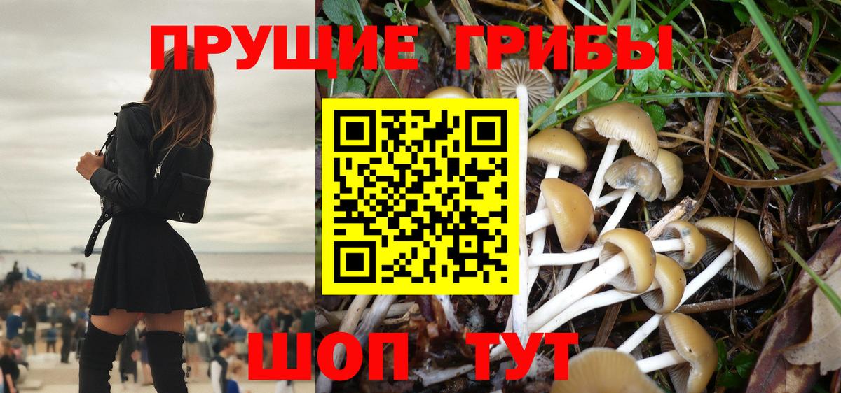Псилоцибиновые грибы мицелий  Псилоцибиновые грибы Magic Shrooms  Красноуфимск  Вход с VPN 